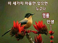 세가지 마음