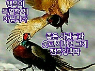 행복한 하루되세요