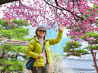 3월18일 『수요일』 봉은사..