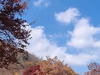 11/22(토)문경새재/김현정..