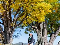 2025년11월01일(토)-양평..