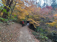 트레킹 팀 ..시즌..