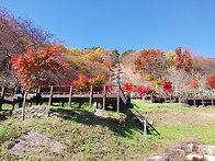 대봉산..갈 데 까..