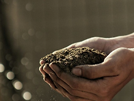 agriculture ..