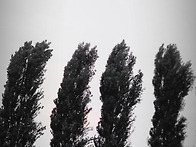 투지를 길러라