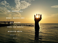 새해에 복많이받으세요.