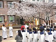 주님수난 성지주일 26.4..