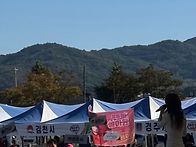 인삼축제 가수님 넘 고우시..