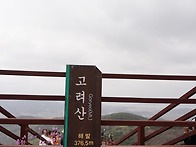 2024년4월10일강화고려산번..