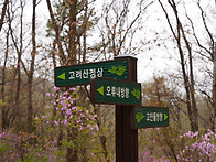 2024년4월10일 강화고려산..