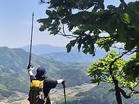 종자산