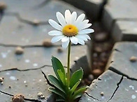 인내