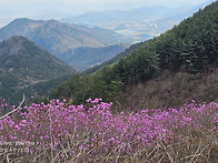 * 20250403, 창원 天主山..