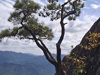 동악산&대황강출렁다리(곡..