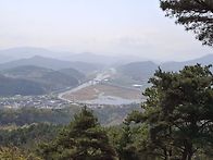 태봉산꽃잔디&동의보감촌&..