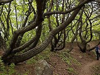 산청 둔철산 대성산 산행