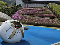 935회차(2025.04.17)