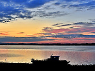 궁평항 가는 길목에서...