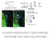 뇌 속 노폐물 배출..
