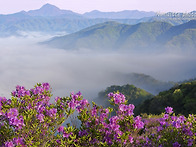 봉화산