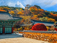 통도사