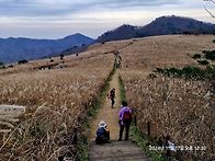 61번.경주 무장산 한바퀴.