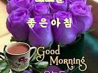 편한밤 되세요