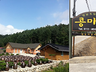 된장 막장 고추장 간장 고..