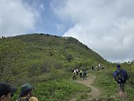 소백산 철쭉산행