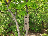 제96차 6월 강원도 정선 두위봉 철쭉 & ..