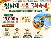 청남대 가을국화축제&모노..