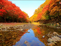 제73차 순창 강천산 산행공지