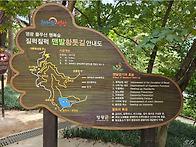 제71차 영광 불갑사 상사화 물무산 황토길 ..