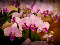 2025년 계간 현대수필 작..