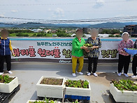 [늘푸른노인주간보호센터 ..