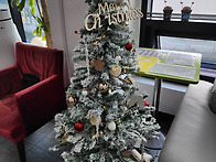 [늘푸른노인주간보호센터 ..