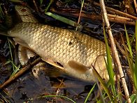 오전 짬낚시에~~