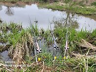 흐린날 나와줄까묘?