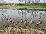 비가온다해서 (업뎃 )종료