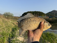 해남 오늘 조행기 대박