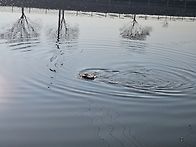 월척을 위해서 최악의 선택..