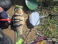 수로짬낚(종료)