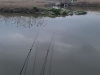 5분동안 몸부림