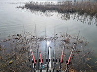 알박기 원주민과의 마찰