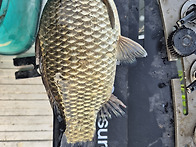 경비행장 1박 조행기