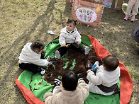 식목일 연계활동 - 강낭콩 씨앗심기 :)
