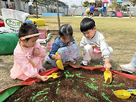 ⭐️별빛3반-식목일연계&lsquo;씨앗심기&lsquo;⭐️