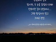 저녁 산책하다가 예뻐서 ..