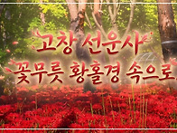 "홀딱 빠져버렸네."