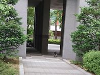 하핫